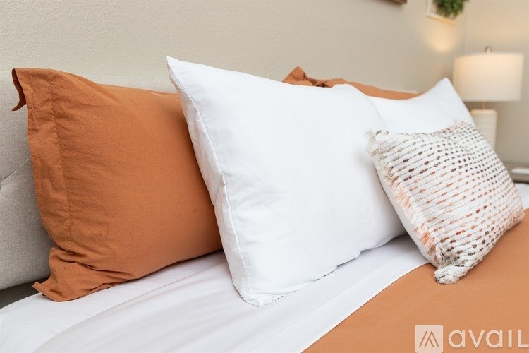 Source URL: https://prod-avail.s3.amazonaws.com/public_images/41489380/listing/20_You_can_never_have_to_many_pillows.jpg