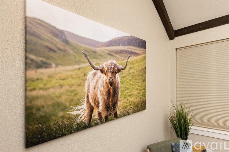 Source URL: https://prod-avail.s3.amazonaws.com/public_images/41489352/listing/5_Who_doesn't_like_Highland_cows.jpg