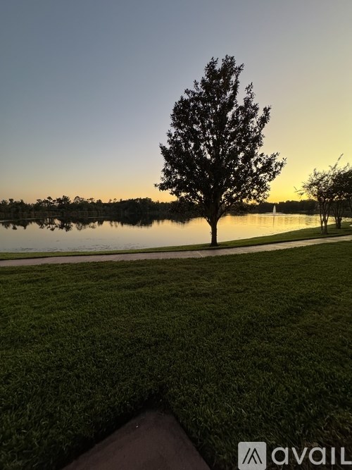 Source URL: https://prod-avail.s3.amazonaws.com/public_images/41511634/listing/IMG_3011.jpeg