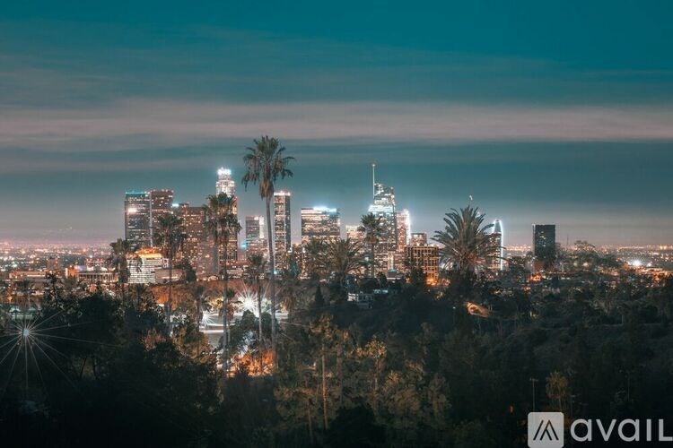 Source URL: https://prod-avail.s3.amazonaws.com/public_images/41508250/listing/original_(4).jpeg