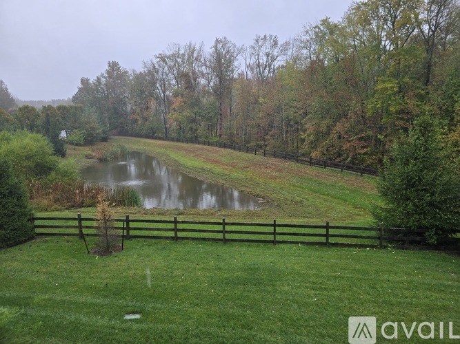 Source URL: https://prod-avail.s3.amazonaws.com/public_images/41505309/listing/20251013_080446.jpg