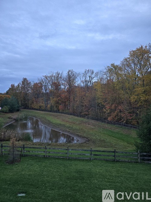 Source URL: https://prod-avail.s3.amazonaws.com/public_images/41505308/listing/20251020_072006.jpg