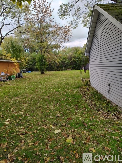 A backyard with a shed and trees.