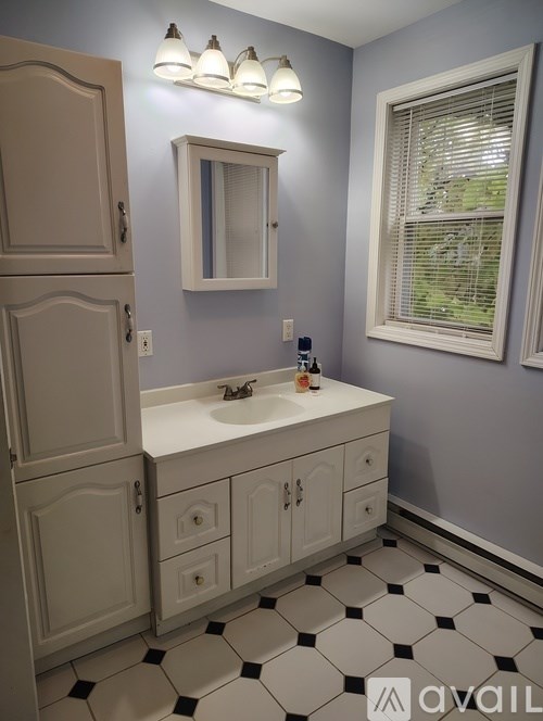 A bathroom with a white sink and a mirror above it.