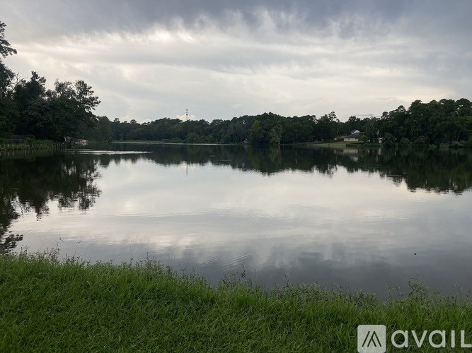 Source URL: https://prod-avail.s3.amazonaws.com/public_images/41502415/listing/IMG_0667.jpeg