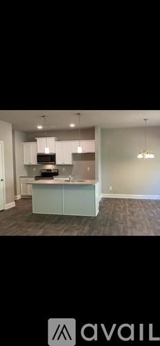 A kitchen with a counter and cabinets.