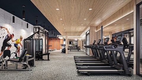 A gym with treadmills and exercise equipment.