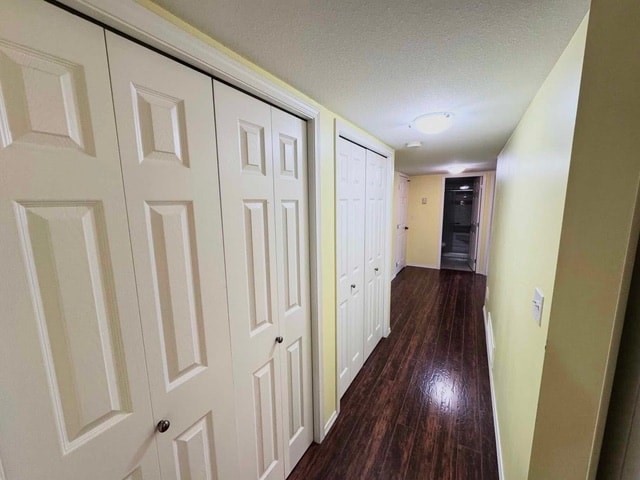 5075 Bridlewood Drive - Lower 2 Beds House for Rent - Photo Gallery 10