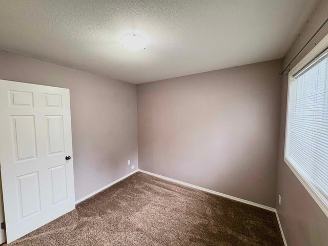 5075 Bridlewood Drive - Lower 2 Beds House for Rent - Photo Gallery 2