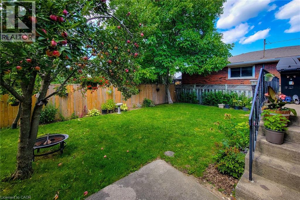 A backyard with a wooden fence and a tree with red flowers.