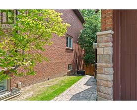 A tree with green leaves is in front of a brick building.