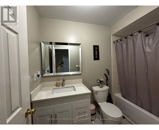 A bathroom with a sink, toilet, and a mirror.