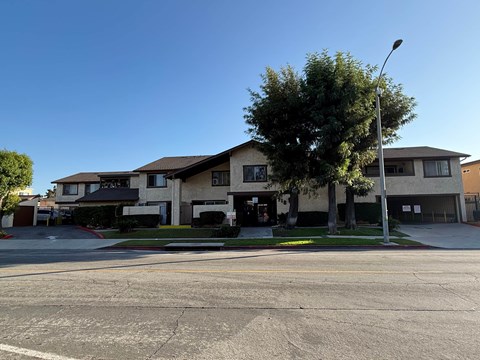 A residential area with houses and a tree.