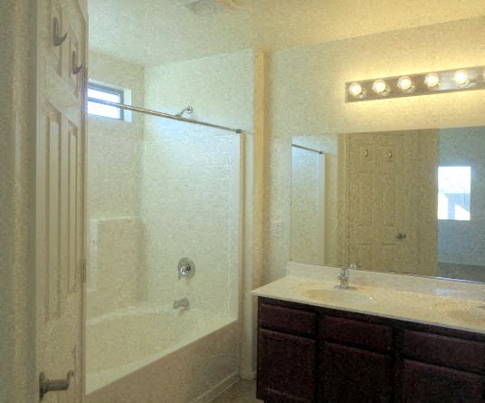 a bathroom with a sink and a shower and a mirror