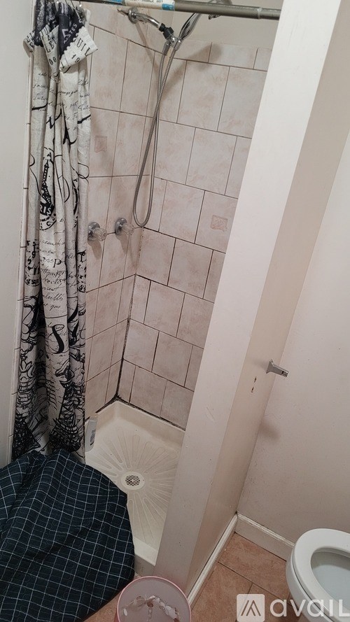 A bathroom with a shower curtain and a toilet.