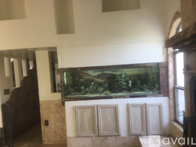 Source URL: https://prod-avail.s3.amazonaws.com/public_images/33158543/listing/DEE037DB-3A2E-4484-B41E-2C72548C30C3.jpeg