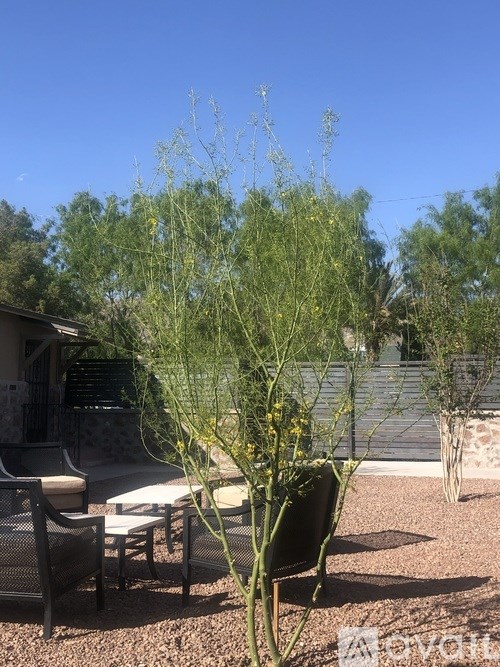 Source URL: https://prod-avail.s3.amazonaws.com/public_images/41517272/listing/IMG_6459.jpeg