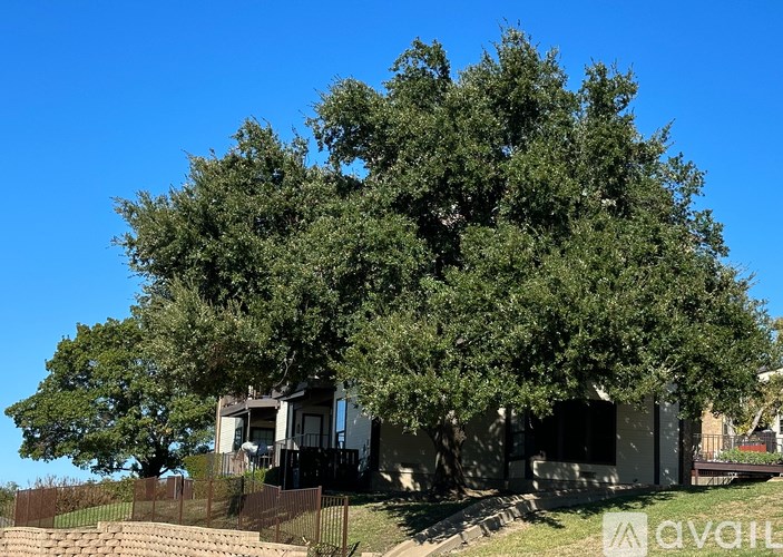 Source URL: https://prod-avail.s3.amazonaws.com/public_images/37138042/listing/trees.jpg