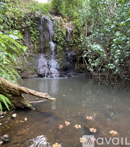 Source URL: https://prod-avail.s3.amazonaws.com/public_images/41374280/listing/IMG_9057.jpeg