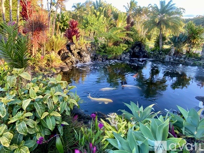 Source URL: https://prod-avail.s3.amazonaws.com/public_images/41374292/listing/IMG_0269.jpeg