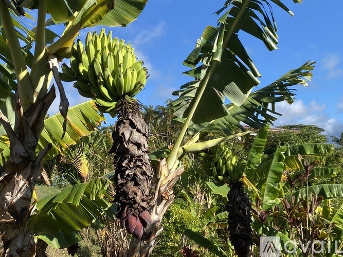 Source URL: https://prod-avail.s3.amazonaws.com/public_images/41374350/listing/IMG_0101.jpeg