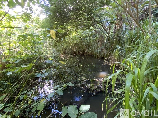 Source URL: https://prod-avail.s3.amazonaws.com/public_images/41374356/listing/IMG_0343.jpeg