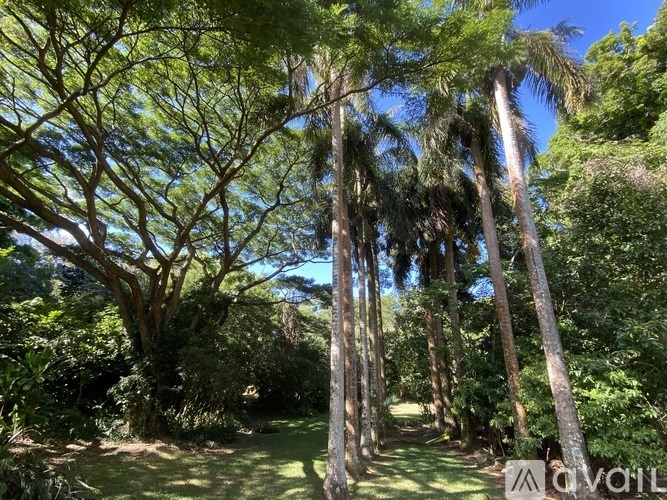 Source URL: https://prod-avail.s3.amazonaws.com/public_images/41374363/listing/IMG_0371.jpeg