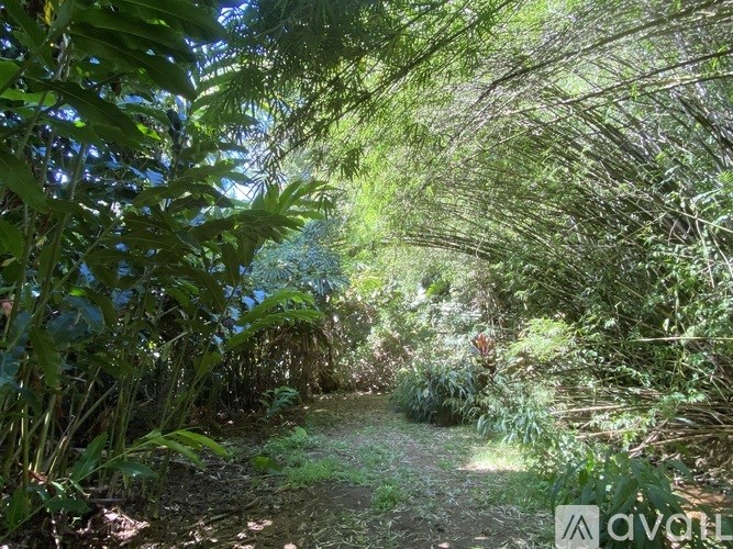 Source URL: https://prod-avail.s3.amazonaws.com/public_images/41374360/listing/IMG_0331.jpeg