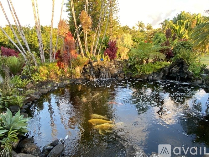 Source URL: https://prod-avail.s3.amazonaws.com/public_images/41374353/listing/IMG_9827.jpeg