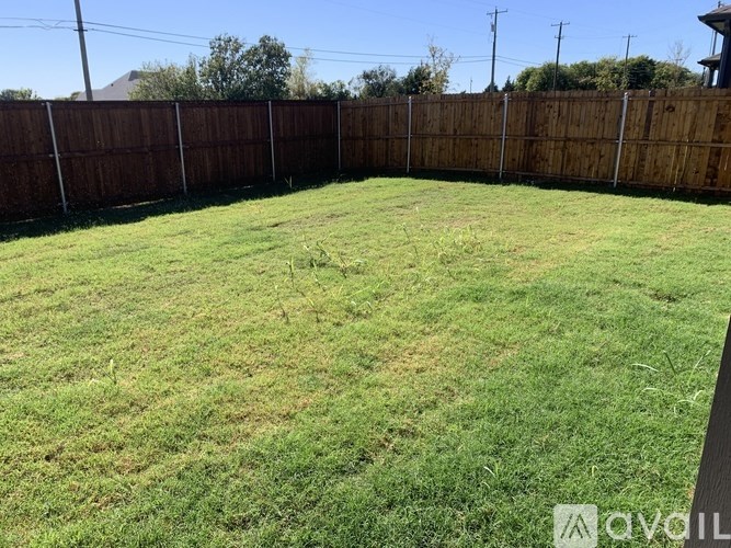 A backyard with a wooden fence and green grass.