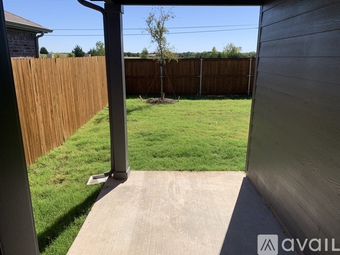 A backyard with a wooden fence and a small tree.