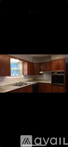 A kitchen with wooden cabinets and a window.