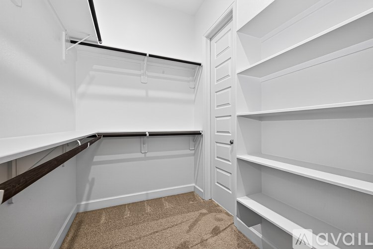 A white pantry with shelves and a carpeted floor.