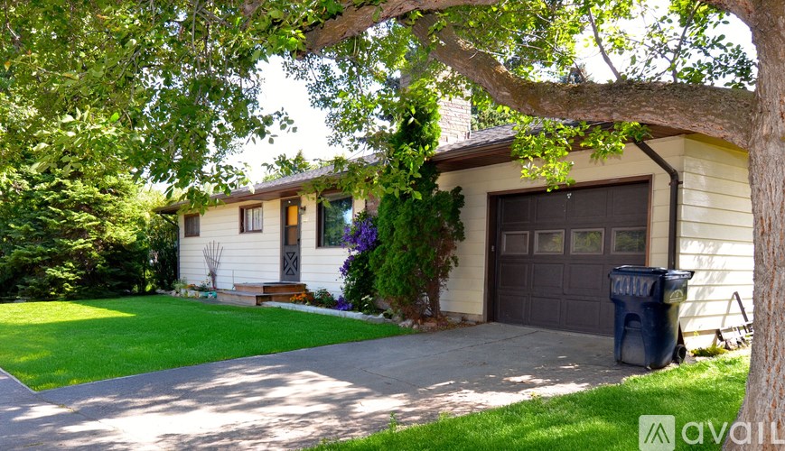 A house with a driveway and a tree in front of it.