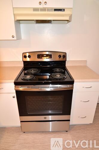 A modern stove top oven with four burners and a glass door is in a kitchen.