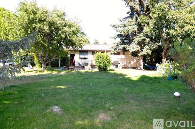 A backyard with a lawn and trees.