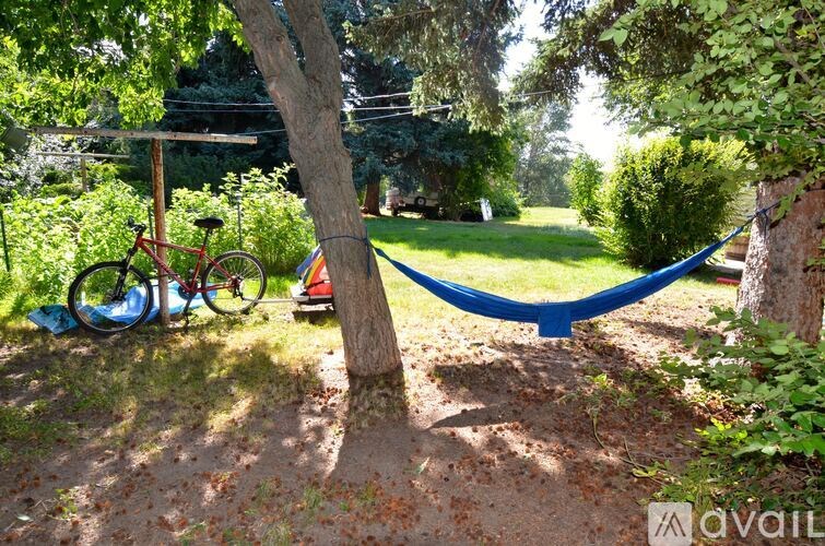 A hammock is hanging between two trees in a backyard.
