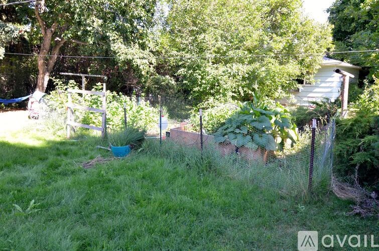 A garden with a fence and a shed in the background.