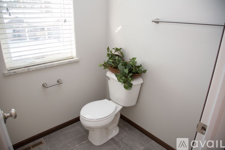 A white toilet with a plant on top of it in a bathroom.