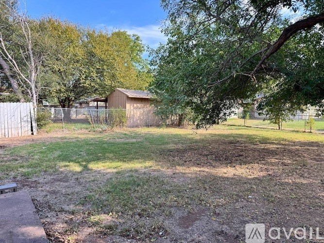 A backyard with a shed and trees.
