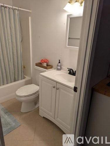 A bathroom with a toilet, sink, and shower curtain.