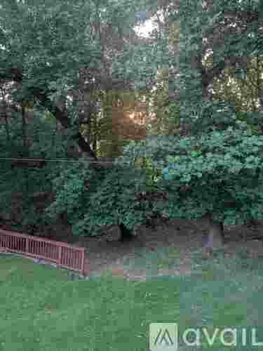 A green grass field with a fence and trees in the background.