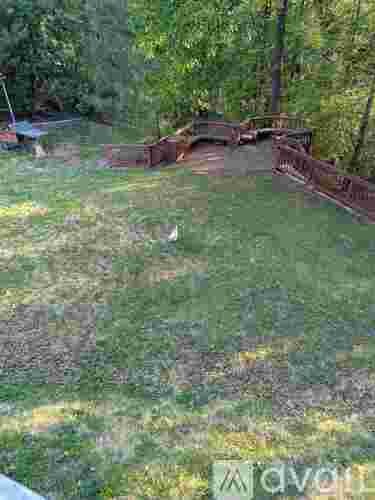 A bird is standing on the grass in a yard.