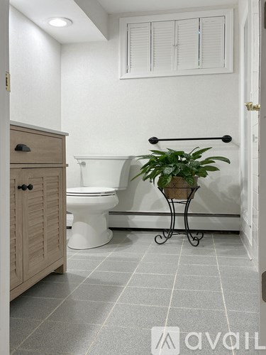 A bathroom with a toilet, a plant, and a cabinet.