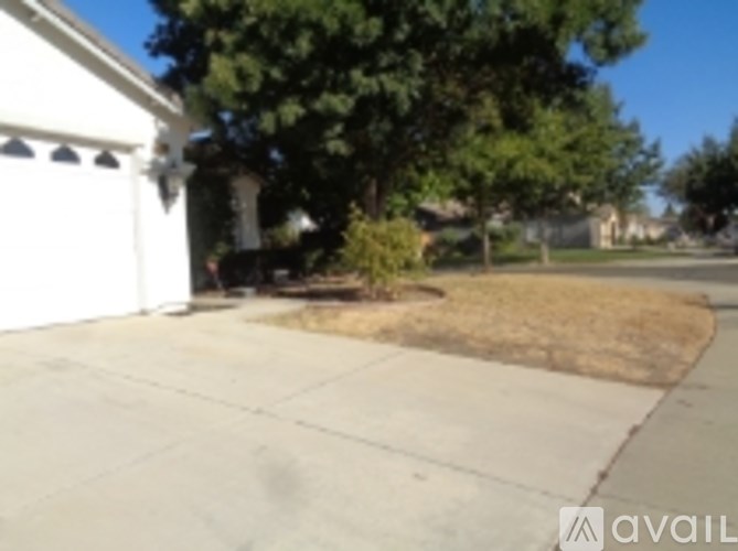 A white garage door is on the left of a tree.
