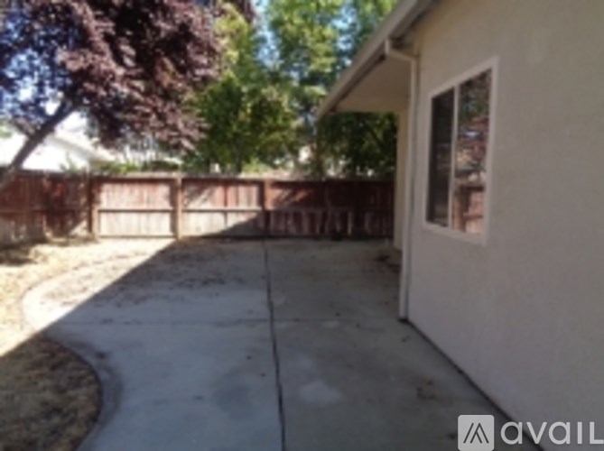A backyard with a fence and a tree.