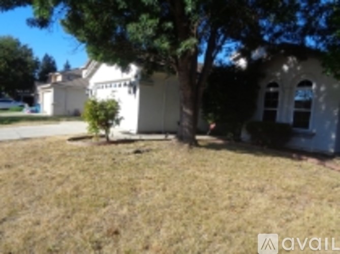 A tree in a yard in front of a white house.