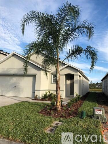 A palm tree in front of a house with a sign that says "avail".