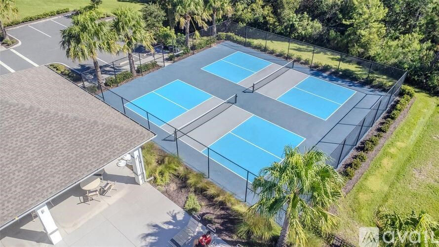 A tennis court surrounded by a fence and palm trees.
