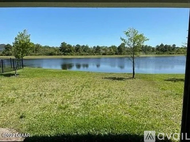 A tree stands alone in a grassy field next to a lake.
